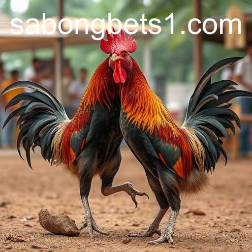 The Rise of Sabongbets in Online Gaming